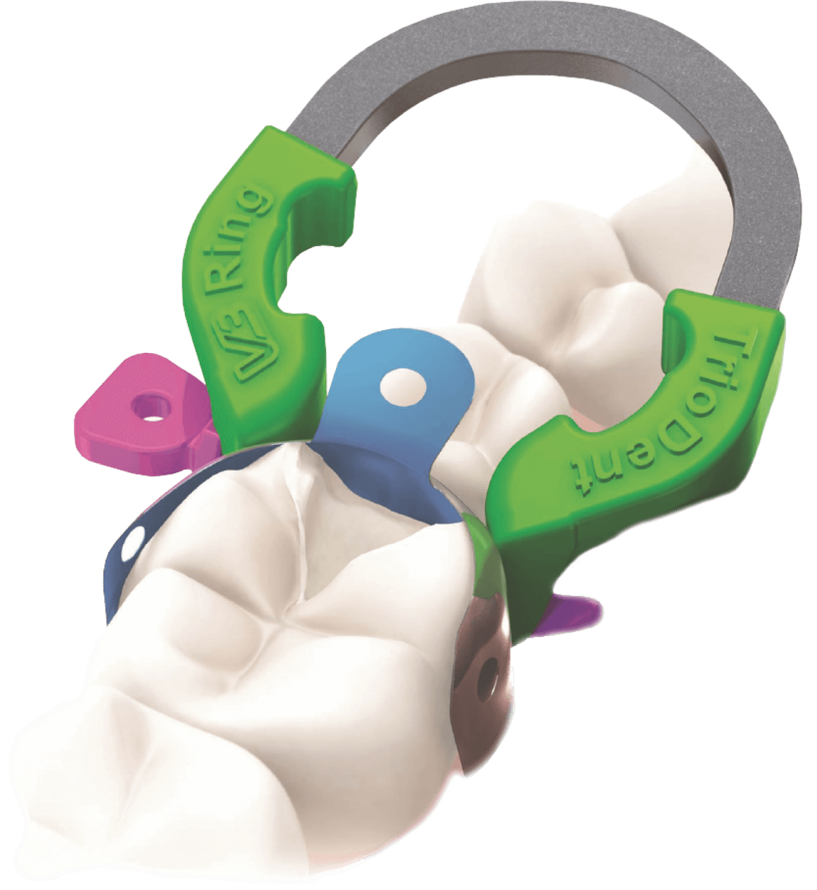 TRIODENT V3